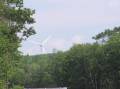 R7282983.JPG
