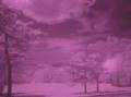 R7293007.JPG