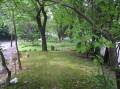 R7303027.JPG