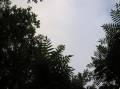 R7306252.JPG