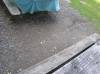 T7270638.JPG