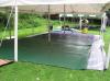 T7179853.JPG
