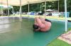 T7189887a-IMG_0452.JPG