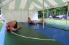 T7189898a-IMG_0508.JPG