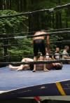 T7189898a-IMG_0558.JPG