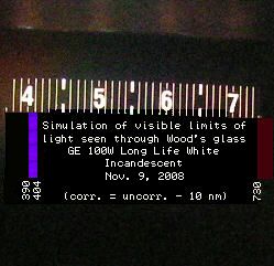 100W incandescent bulb spectrum