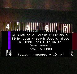 100W incandescent bulb spectrum