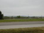 Arbuckles at a distance