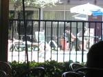 Pool as seen from Gushers
