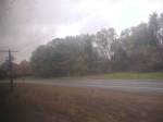NY5 in the country
