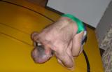 PA215861.JPG