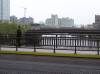 PA188520.JPG
