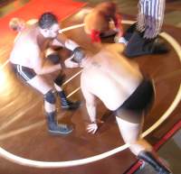 Pro Show 2006
