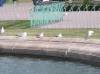 R9156815.JPG