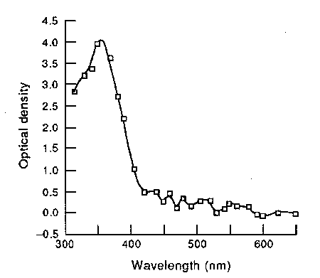 UV absorbance of human eye lens