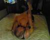 Pic_0219_368.jpg by nickz@eskimo.com