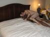 T2186666.jpg by nickz@eskimo.com
