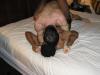 T2186668.jpg by nickz@eskimo.com