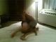 T3117438f01-1103-183649.jpg by nickz@eskimo.com