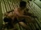 T3117438g-1103-203156.jpg by nickz@eskimo.com