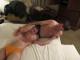 T3127438e04-IMG_0391.JPG by LB200