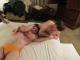 T3127438e04-IMG_0392.JPG by LB200