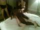 T3127438k-1203-192732.jpg by nickz@eskimo.com