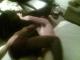 T3127438p-1203-192837.jpg by nickz@eskimo.com