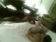 T3127438y01-1203-193038.jpg by nickz@eskimo.com