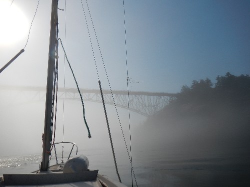 fog!