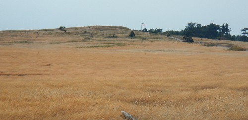 American Camp