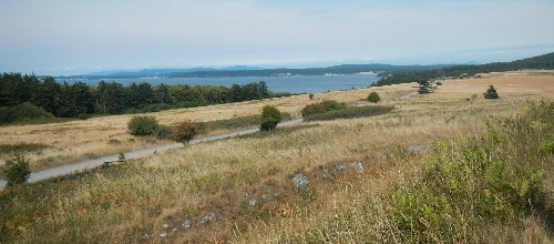 Looking SE from American Camp