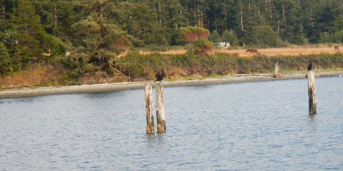 Barlow Bay