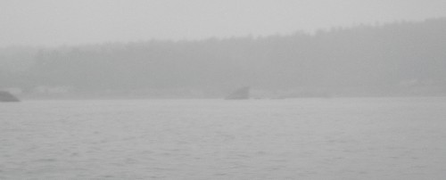 Shark Fin rock in the rain
