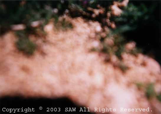 blur