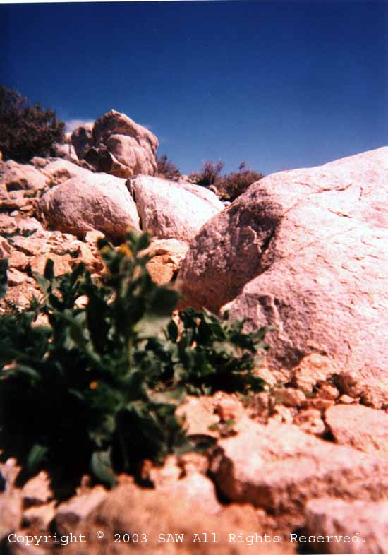 rocks