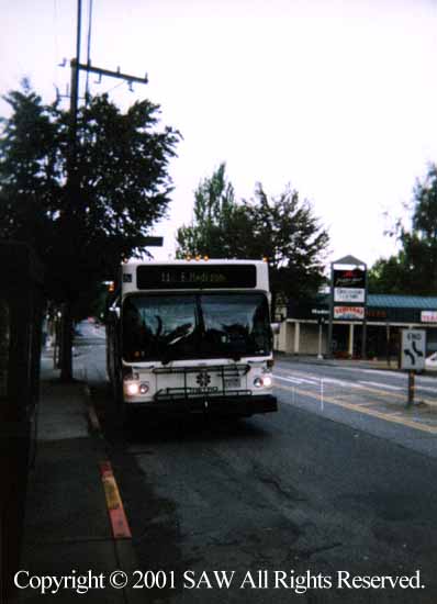 Metrobus11