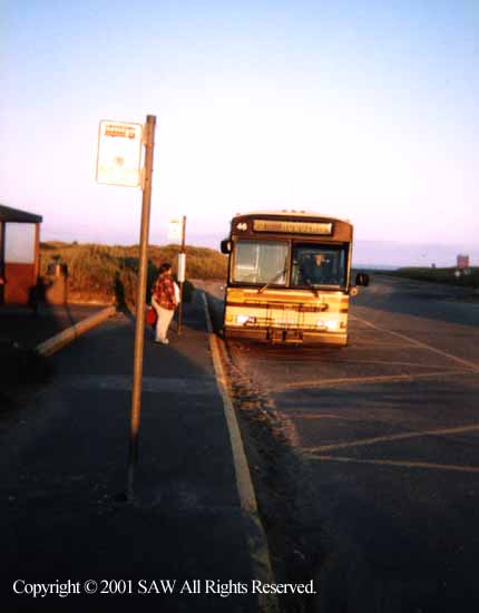 GraysHarbor50