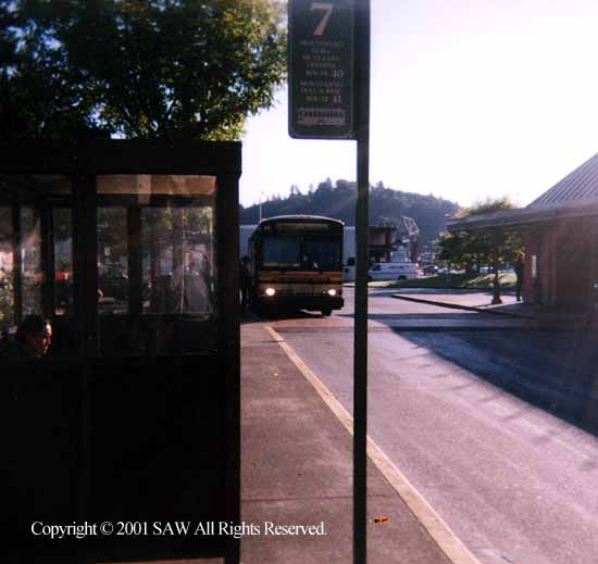 GraysHarbor40