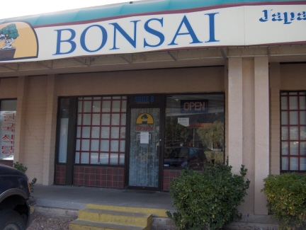 Bonsai, El Paso, TX