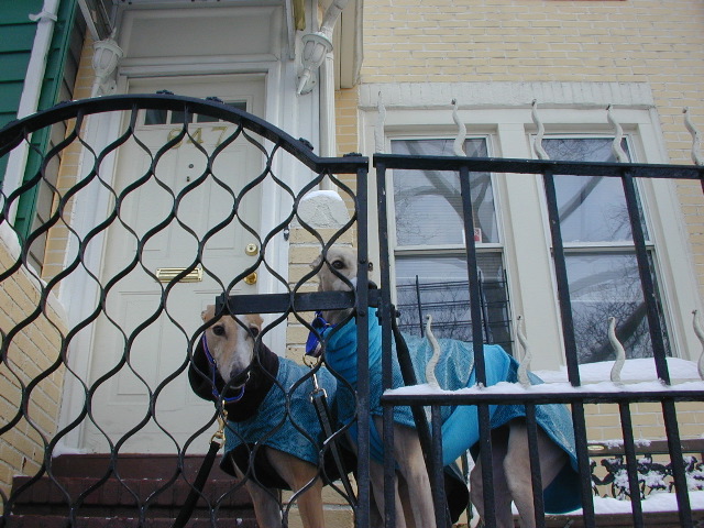 DSCN0007_21