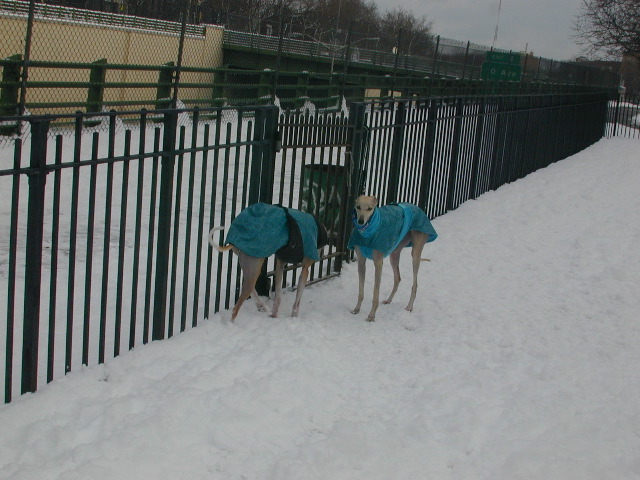 DSCN0037_13