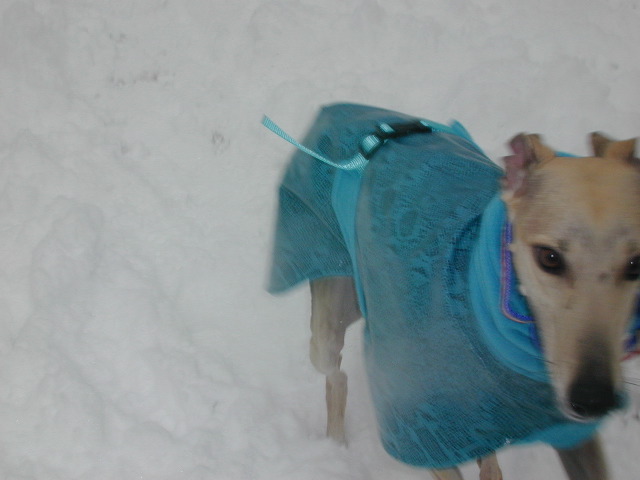 DSCN0038_13