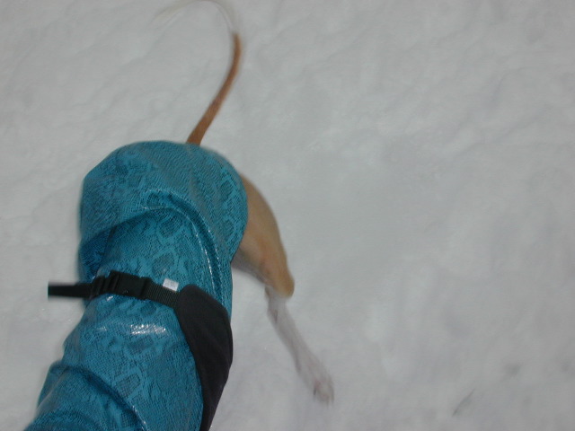 DSCN0036_13