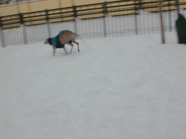 DSCN0018_16
