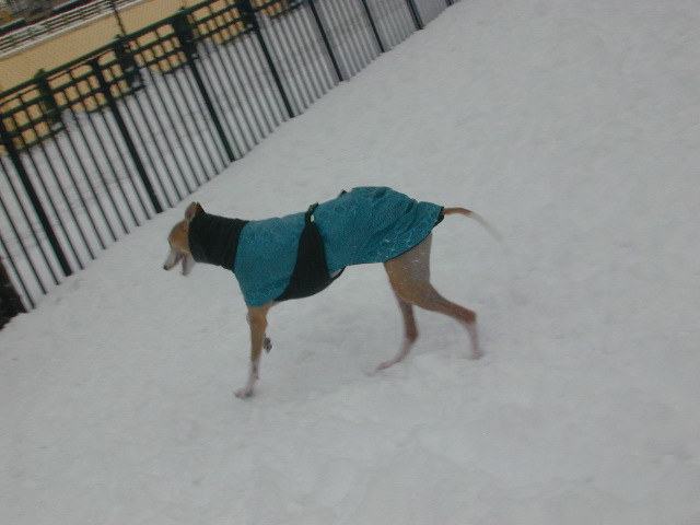 DSCN0039_14