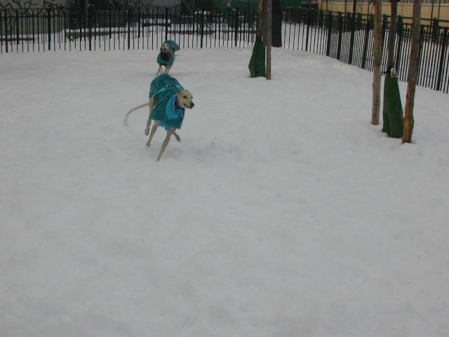 DSCN0010_22