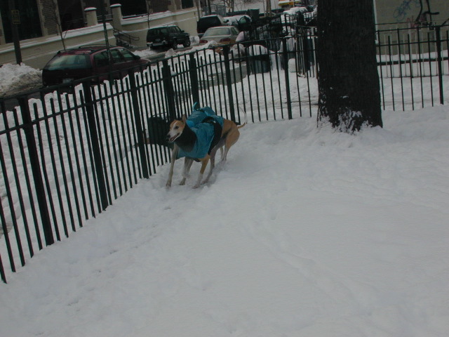 DSCN0029_15