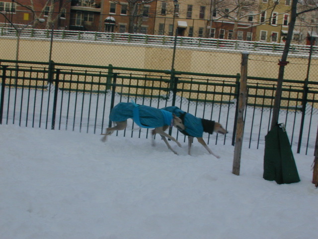 DSCN0014_22
